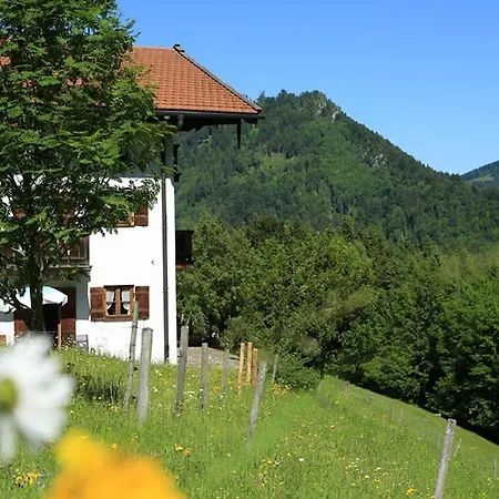 אורחן Berggasthaus Weingarten